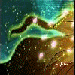 avfloraen21.gif